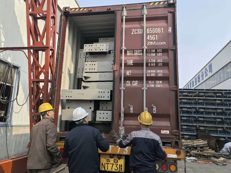 சிலியில் ஒரு பெரிய அளவிலான எஃகு கிடங்கு திட்டத்திற்கான எஃகு கட்டமைப்பு கூறுகள் வெற்றிகரமாக அனுப்பப்பட்டு, உள்ளூர் தளவாட மையக் கட்டுமானத்தை ஆதரிக்கிறது